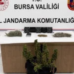Bursada uyusturucuya 3 gozalti 3hasTf2c