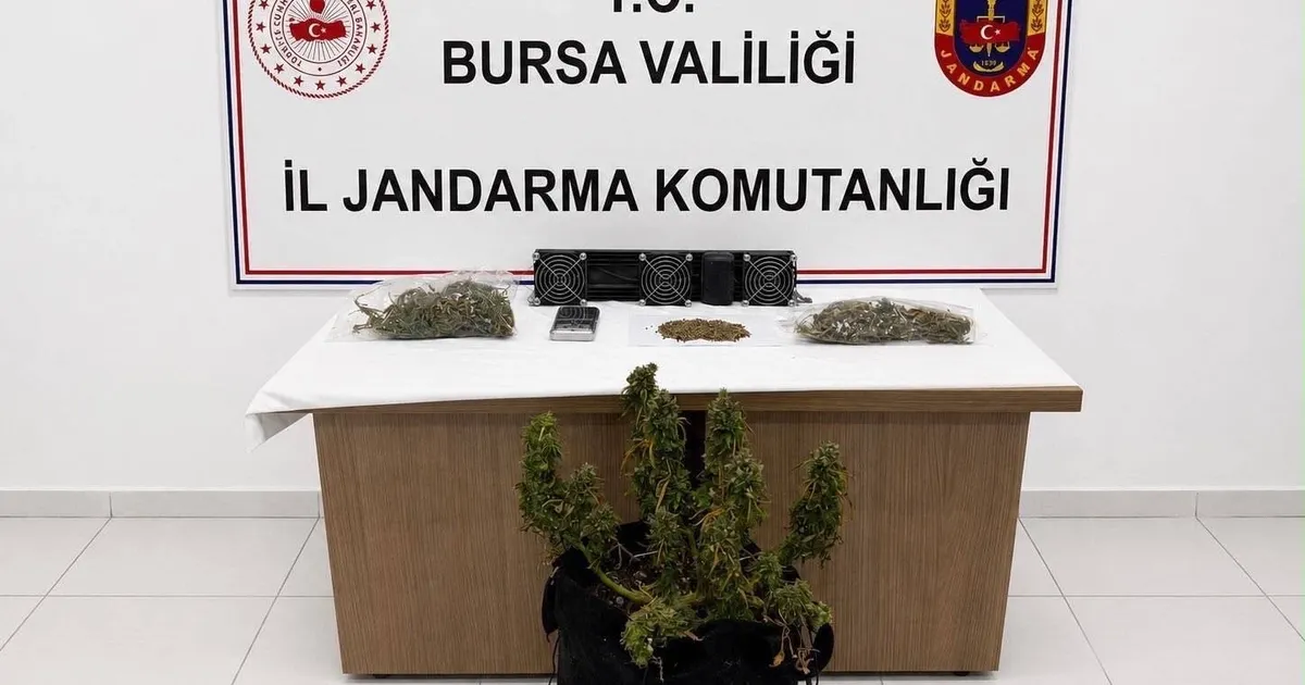 Bursada uyusturucuya 3 gozalti 3hasTf2c